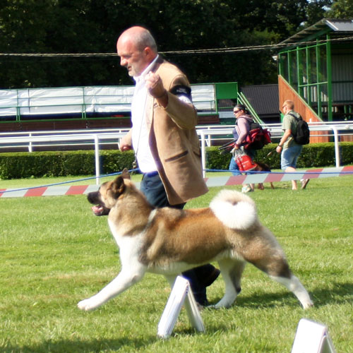 Marook&nbsp;Ravine&nbsp;Breaking&nbsp;Dawn "Renesmee"