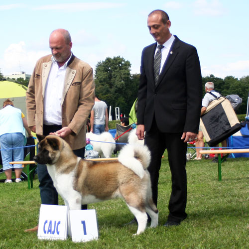Marook&nbsp;Ravine&nbsp;Breaking&nbsp;Dawn "Renesmee"