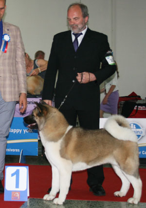 Marook&nbsp;Ravine&nbsp;Breaking&nbsp;Dawn "Renesmee"