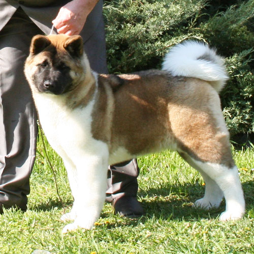 Marook&nbsp;Ravine&nbsp;Breaking&nbsp;Dawn "Renesmee"