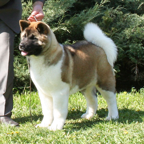 Marook&nbsp;Ravine&nbsp;Breaking&nbsp;Dawn "Renesmee"